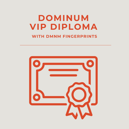 VIP Upgrade – Night Is Calling Tour